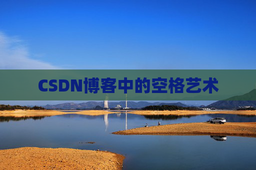 CSDN博客中的空格艺术